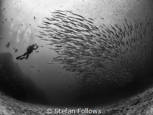 Whimsy ... ! Sail Rock, Thailand-EM5-Panasonic 8mm-iso200... by Stefan Follows 